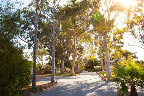 Modra\'s Apartments - Accommodation Rockhampton 0