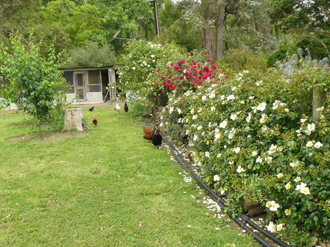 Camawald Coonawarra Cottage B&B - Accommodation Rockhampton 3