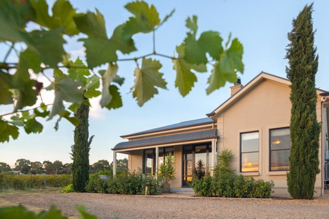 Barossa Shiraz Estate - Accommodation Rockhampton 2