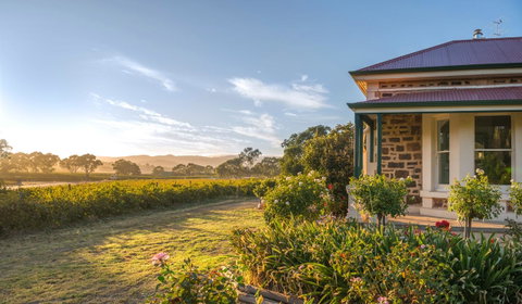 Barossa Shiraz Estate - Accommodation Rockhampton 6