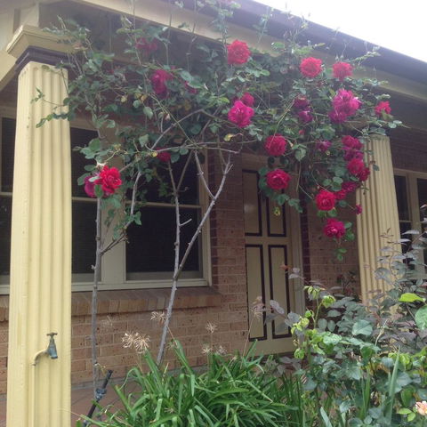 Oats Cottage - Accommodation Rockhampton 3
