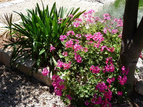 Country Bakehouse Accommodation - Accommodation Rockhampton 18