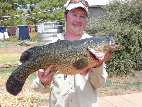 Country Bakehouse Accommodation - Accommodation Rockhampton 20