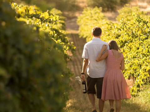 Novotel Barossa Valley Resort - Accommodation Rockhampton 40