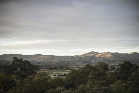 Novotel Barossa Valley Resort - Accommodation Rockhampton 23