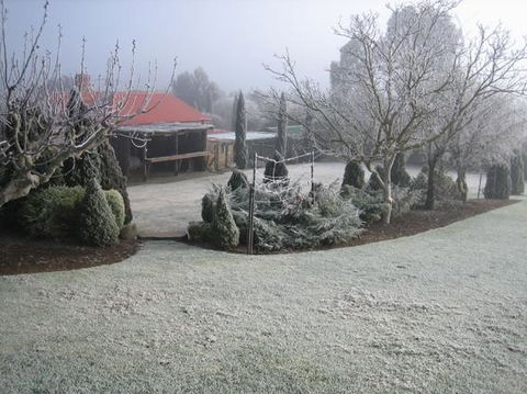 Vineyard Cottage BnB - Accommodation Rockhampton 15