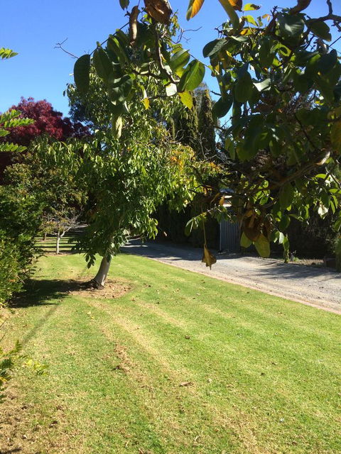 Vineyard Cottage BnB - Accommodation Rockhampton 17