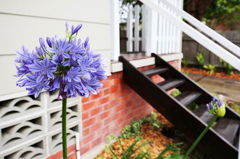 Hudson Bay @ Basin View-Pet Friendly-15 Mins To Hyams Beach - Accommodation Rockhampton 38