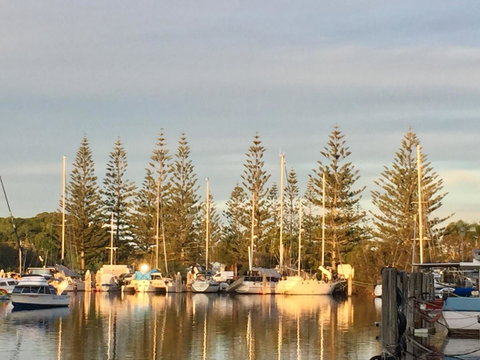 Brunswick Heads Treetop Studio - Accommodation Rockhampton 24