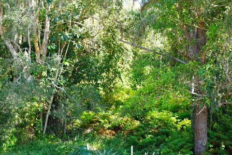 Brunswick Heads Treetop Studio - Accommodation Rockhampton 20