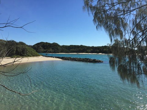 Brunswick Heads Treetop Studio - Accommodation Rockhampton 22