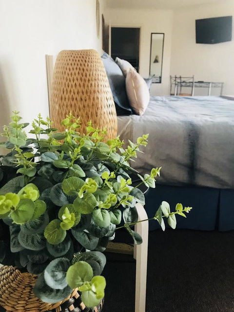 Barossa Valley Studio - Accommodation Rockhampton 12