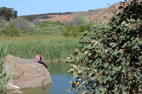 Burra Motor Inn - Accommodation Rockhampton 34