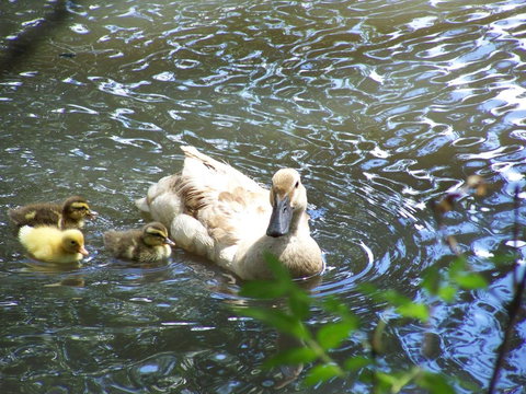 Burra Motor Inn - Accommodation Rockhampton 27