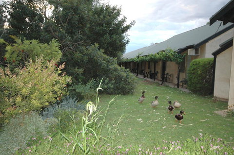 Burra Motor Inn - Accommodation Rockhampton 24