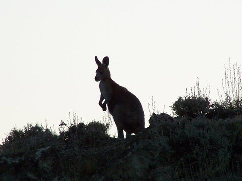 Burra Motor Inn - Accommodation Rockhampton 37