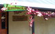 Burra Motor Inn - thumb 20