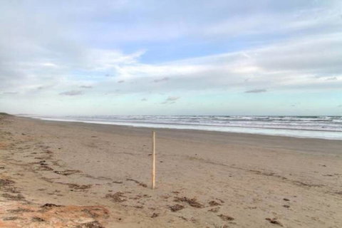 SeaWatch-Sea Views - Accommodation Rockhampton 6