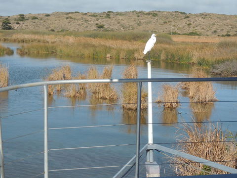PS Federal Retreat Paddle Steamer Goolwa - Accommodation Rockhampton 11