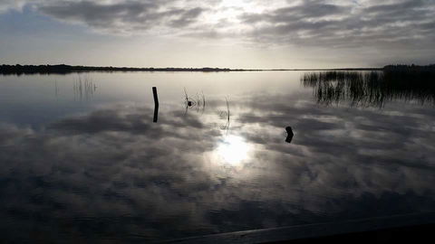 PS Federal Retreat Paddle Steamer Goolwa - Accommodation Rockhampton 16