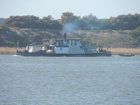 PS Federal Retreat Paddle Steamer Goolwa - Accommodation Rockhampton 10