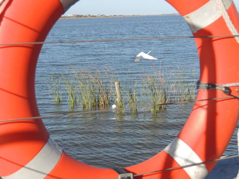 PS Federal Retreat Paddle Steamer Goolwa - Accommodation Rockhampton 18