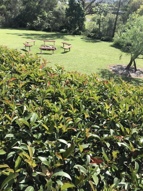 Avon View Stays Accommodation. - Accommodation Rockhampton 10