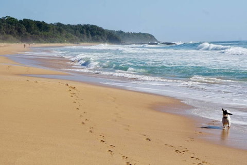 Culburra Beachhouse - Accommodation Rockhampton 7