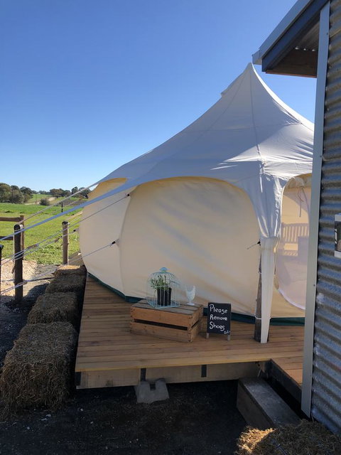 Bukirk Glamping & Fancy Coops - Accommodation Rockhampton 11