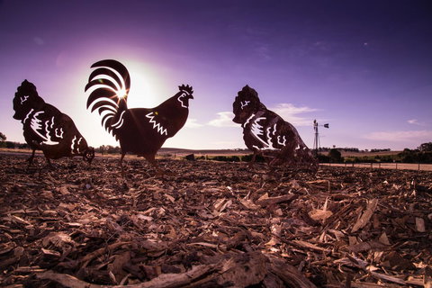 Bukirk Glamping & Fancy Coops - Accommodation Rockhampton 34