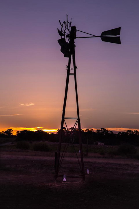 Bukirk Glamping & Fancy Coops - Accommodation Rockhampton 31