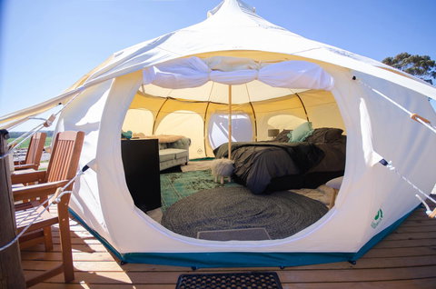 Bukirk Glamping & Fancy Coops - Accommodation Rockhampton 14