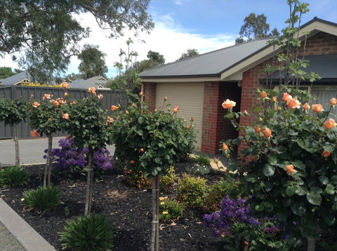 C And C Tanunda - Accommodation Rockhampton 1