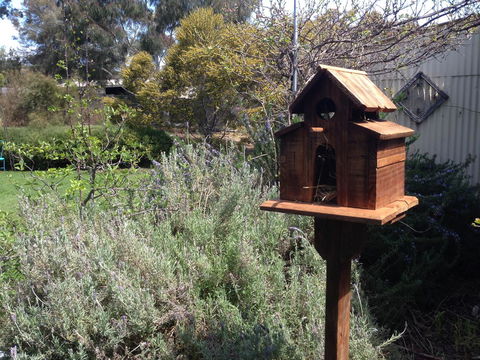 Jack\'s House B&B Clare - Accommodation Rockhampton 6