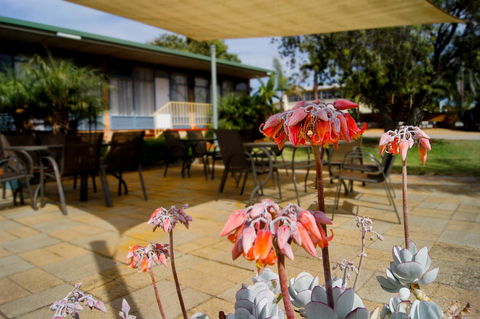 Kangaroo Island Seaview Motel - Accommodation Rockhampton 3