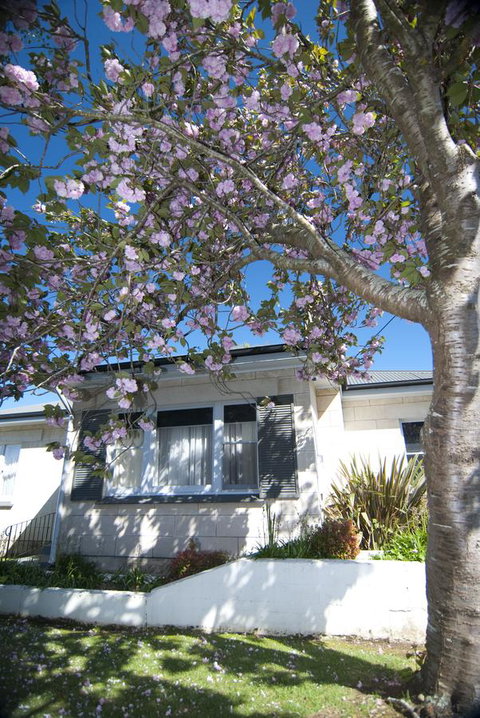 The Commodore - Accommodation Rockhampton 14