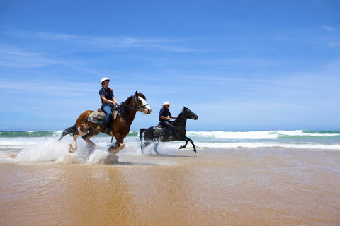 One Mile Retreat - Accommodation Rockhampton 26
