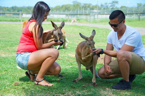 One Mile Retreat - Accommodation Rockhampton 25