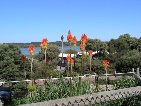 Lakeside Tourist Park - Accommodation Rockhampton 3