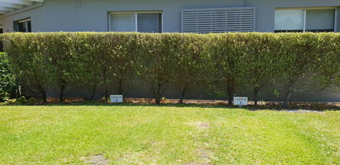 2 Austinmer Studio - Accommodation Rockhampton 12