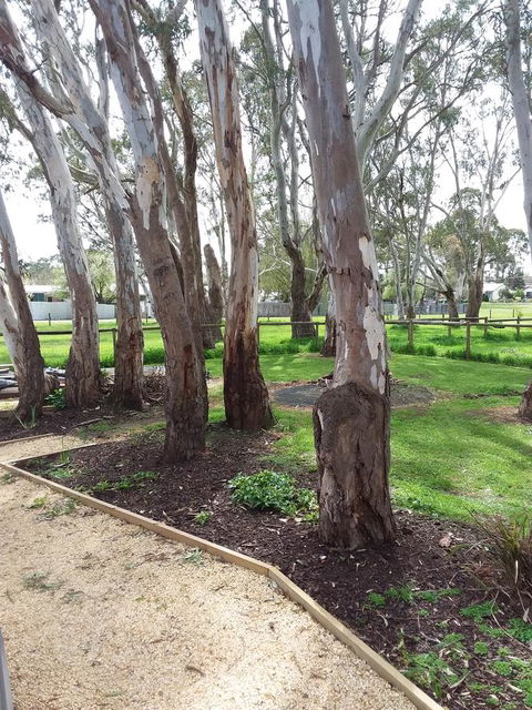 Cloisters Of Kalangadoo - Accommodation Rockhampton 6