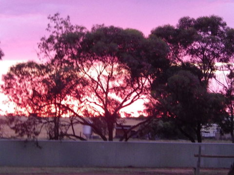 Wudinna Gawler Ranges Motel And Caravan Park - Accommodation Rockhampton 11
