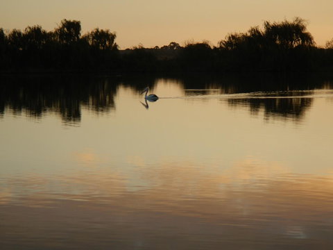 Washpool Retreat - Accommodation Rockhampton 25