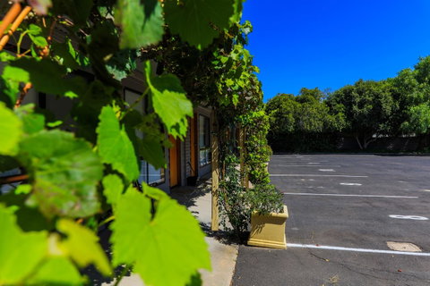 Country Roads Motor Inn Naracoorte - Accommodation Rockhampton 16
