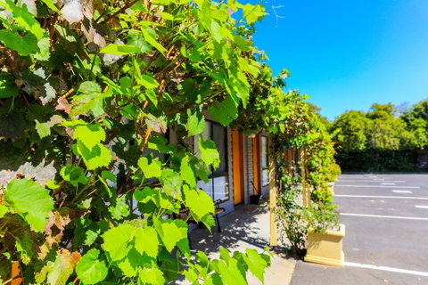 Country Roads Motor Inn Naracoorte - Accommodation Rockhampton 18