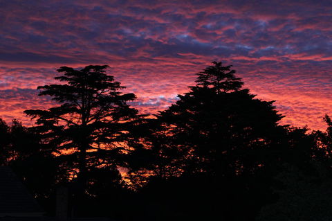 Pirralilla Estate Adelaide Hills - Accommodation Rockhampton 26