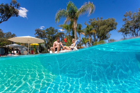 BIG4 Renmark Riverfront Holiday Park - Accommodation Rockhampton 3