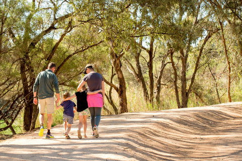 BIG4 Renmark Riverfront Holiday Park - Accommodation Rockhampton 13