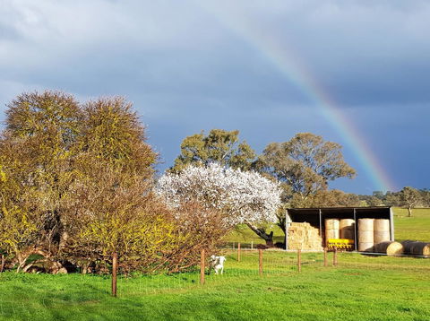 Pennys Road - Accommodation Rockhampton 18