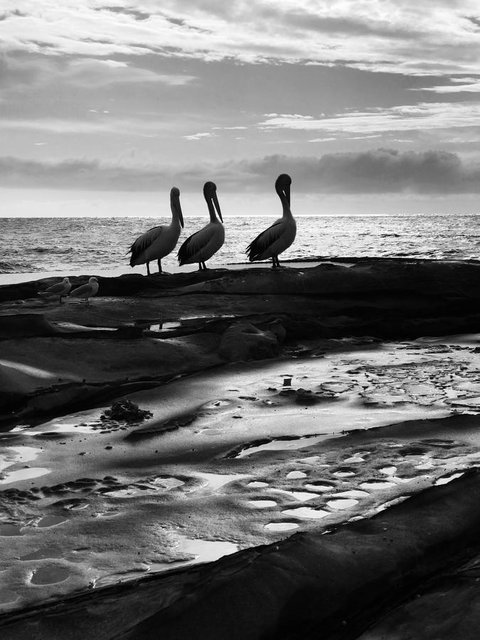 Stylish 3 Bedroom Beachview Apartment - Accommodation Rockhampton 22